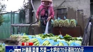 菜價高檔 小吃店貼告示只賣豆芽菜－民視新聞