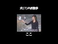 【駒木結衣】ワンちゃん (?) のお散歩をされている方を見つけたお天気お姉さん【ウェザーニュース】#shorts
