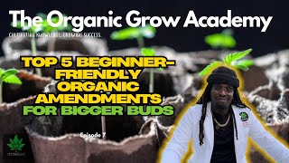 🌱 Top 5 Beginner-Friendly Organic Amendments for Bigger Buds 🌱