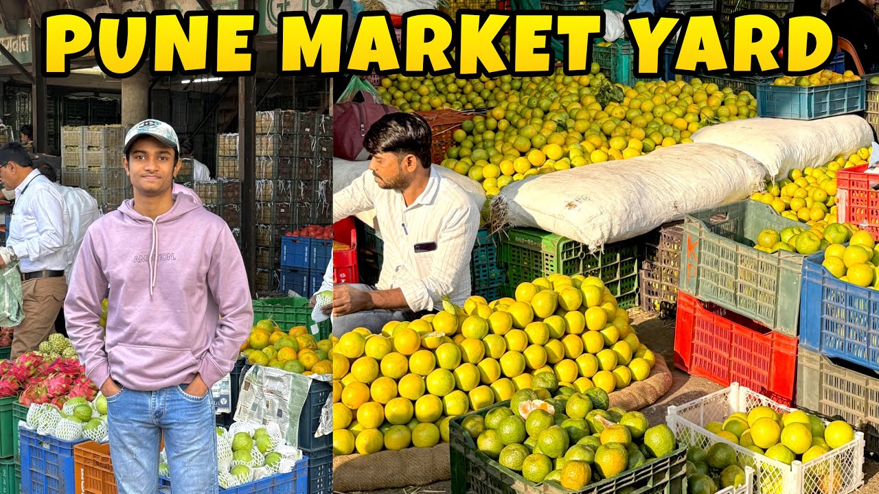 Pune Biggest Wholesale Fruit Market || MARKET YARD || MD ANAs VLOGs