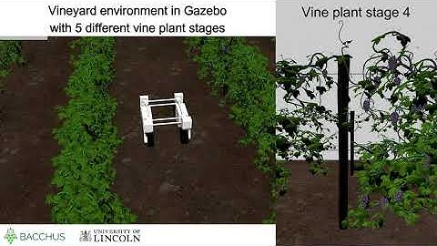 Simulation environment for vineyard