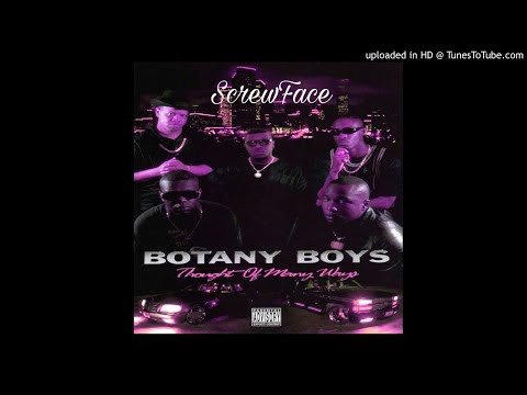 Botany Boys -  Ain't Nut'in Changed (Chopped And Screwed)