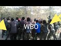 WBO ABO