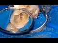 Retreatment for all canals was done easily using #AFFOne!