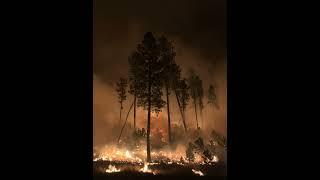 Podcast Episode 9: Fire Management, Policies, and Change