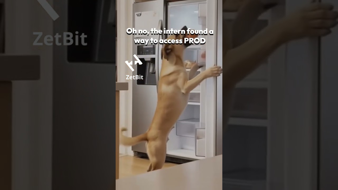 Oh no, the intern found a way to access PROD #programmer #coding #codinglife