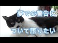 夢での警告について語りたい