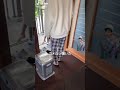 妹 シスコン 可愛い 初心者マーク 家族 仲良し ベッド 車