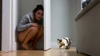 Girl Hid From Cat And She Didn’t Expect This To Happen