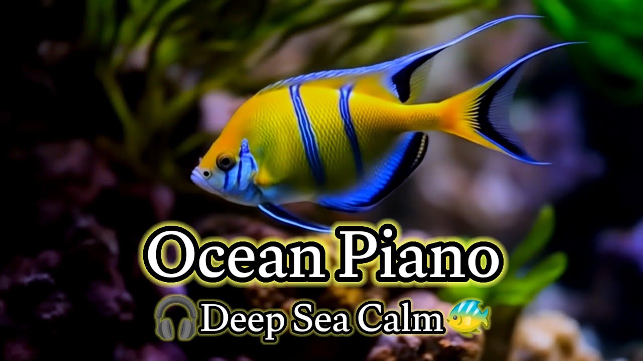 Relaxing Ocean Piano Music for Deep Sleep and Meditation with Underwater Nature Visuals 🐠