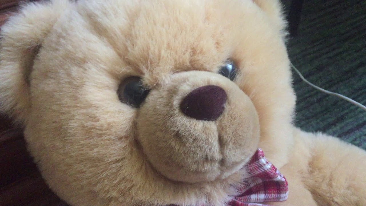 Нейрогенный мочевой пузырь или история о том,как мне лечили,месяц ...