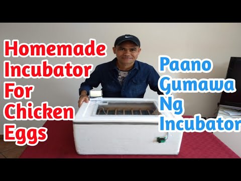Video: Paano Gumagana Ang Isang Incubator