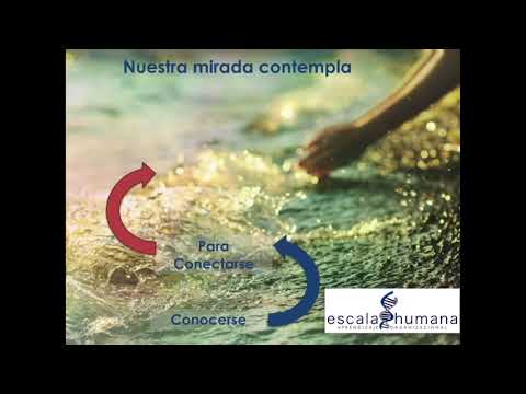 Conocenos un poco más