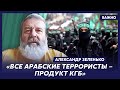 Экс-разведчик КГБ Зеленько о том, почему безумие Путина опаснее любой войны