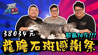 【Joeman】38034元的奢華龍膽石斑感謝祭【Joe是要對決S2】Ep104@BIGSNAKEBALL @stanleyslol