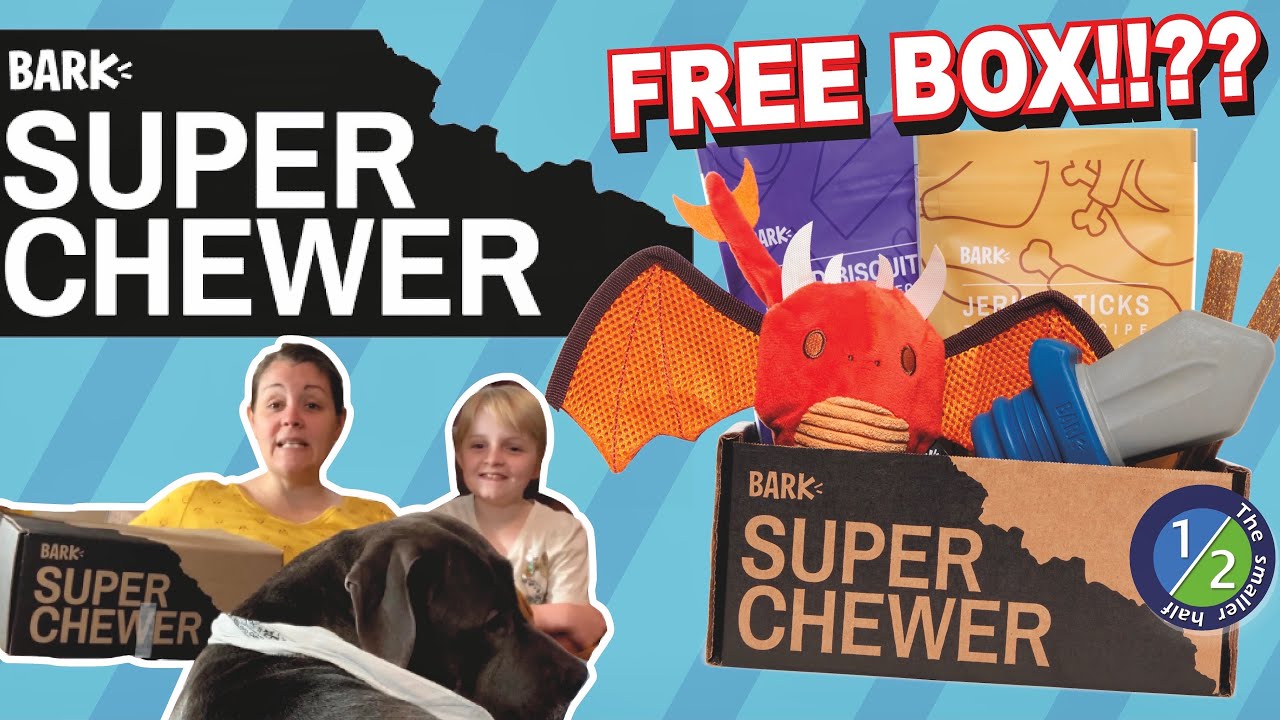 How Much Are Super Chewer Bark Boxes How Much Are Super Chewer Bark Boxes