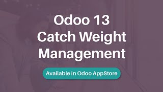 Odoo 13 Catch Weight Management | Odoo Catch Weight