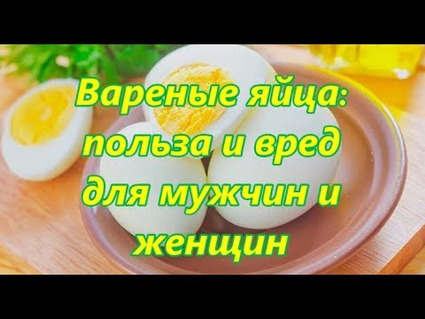 Куриные яйца польза и вред для мужчин видео Куриные яйца польза и вред для мужчин видео thumbnail