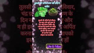 तुलसी जी की पत्तियां कब नही तोड़नी चाहिए Shortfeed organic garden Tulsi viral yt trending