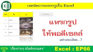 Excel : EP66 แทรกรูป excel ให้พอดีเซลล์ ง่ายและละเอียดแบบสุดๆ!  (code อยู่ใต้คลิป copy ไปใช้เลยครับ)