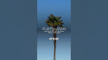 آيات من القرآن الكريم تشرح الصدور#القرآن #آيات #نور_القرآن #ذكر_الله