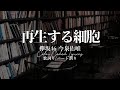 Keyakizaka46 Imaizumi Yui (欅坂46 今泉佑唯) - Saisei Suru Saibo (再生する細胞)" Lyrics 歌詞