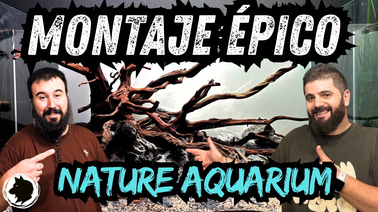 Montaje Épico de la mano de Álvaro Gutiérrez