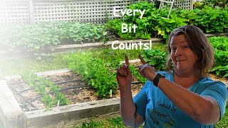 Every Bit Counts Challenge 2023 #everybitcountschallenge #preserve  #growfood #stockingpantry