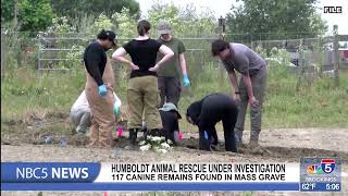 Cainine remains found in mass grave at animal rescue in Humboldt County