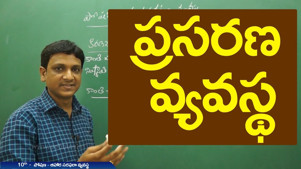 Transportation full lesson | ప్రసరణ వ్యవస్థ | Class 10 Biology | Telugu medium