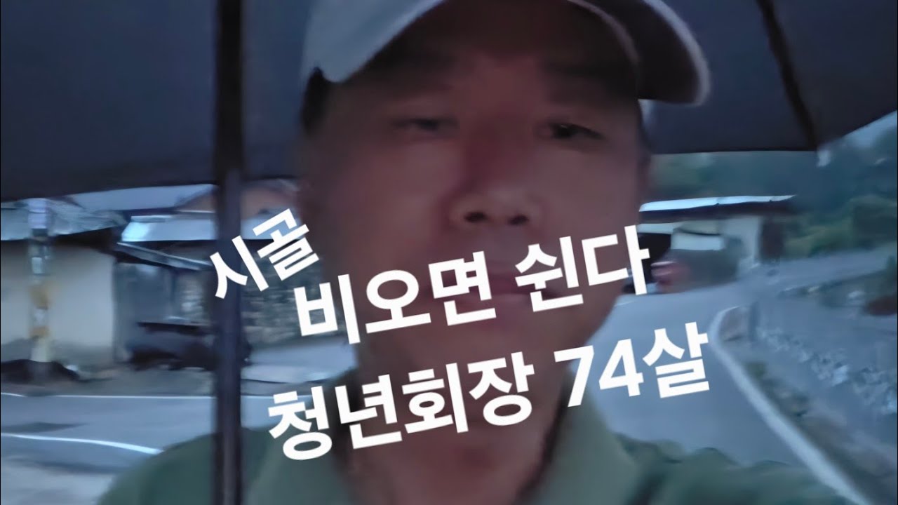 시골 비오면 쉰다. 청년회장이 74살(?)