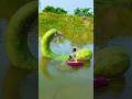 Brinjal 🍆 boat in river videography #amazing #river #videography #shorts #story