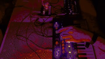 random noise 041 Arturia Microfreak, Korg NTS-1, Bastl Thyme