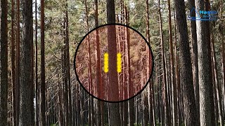 Vertex Laser Geo 2 - Remote Diameter