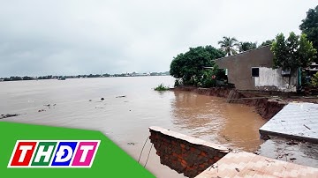 Đồng Tháp: Sạt lở bờ sông, 4 nhà dân rơi xuống sông | THDT