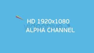Celebrity Splash Animated Elements After Effects Net Worth