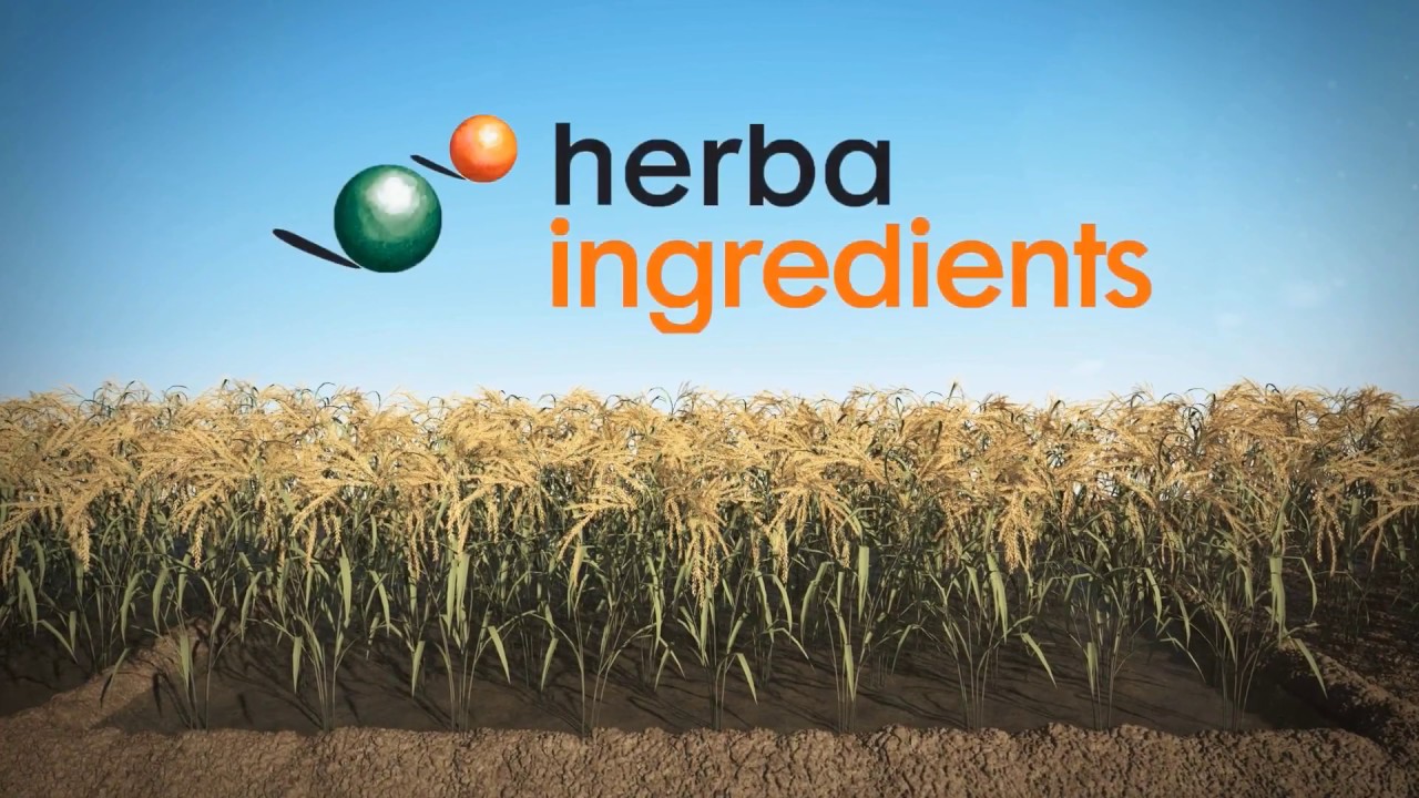 Herba Ingredients: our story 