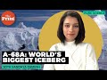 World’s biggest iceberg set to collide with island of penguins