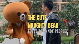 Cute Naughty Bear Loves To Annoy People🤣🤣🤣