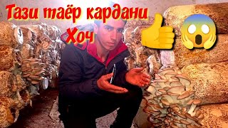 Тарзи хочпарвари бо маслиҳати мутахасис акаи Зубайдулло,,😱😱😱😱😱тел 988867040