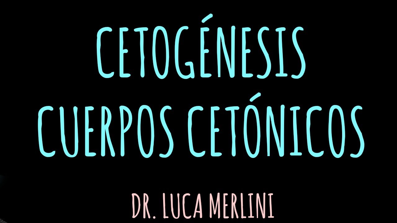 Cetogénesis (Cuerpos Cetónicos)