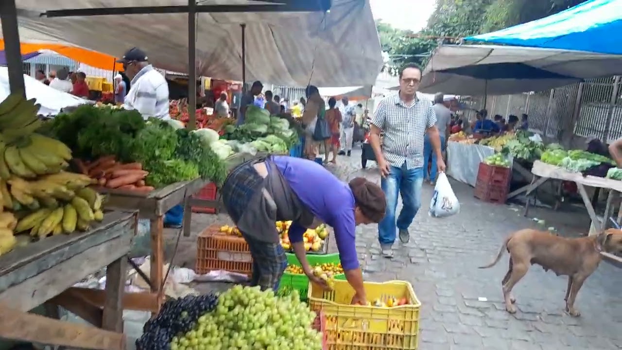 Feira livre de garanhuns Pernambuco oficial 
