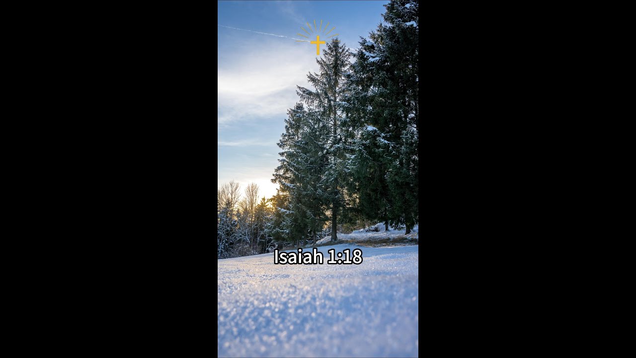 Isaiah 1:18 Divine Reasoning: Transformative Cleansing and the Good News of Forgiveness adlı videoyu YouTube'da izle Isaiah 1:18 Divine Reasoning: Transformative Cleansing and the Good News of Forgiveness adlı videoyu YouTube'da izle