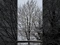 Псалом 25:15-22