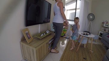 CARPET PYTHON IN PACIFIC PINES