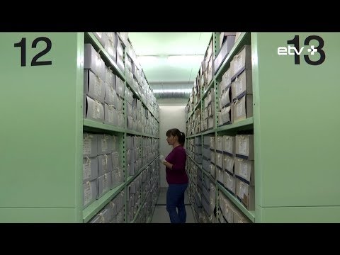 Перепись населения 2021 года может пройти по новой методике: анкетирование могут отменить