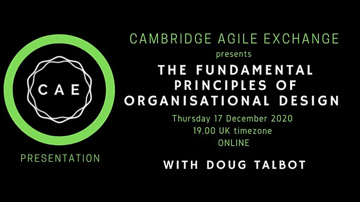 CAE Fundamental Principles of Organisational Desig...