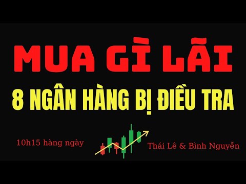 Video Chứng khoán mỗi ngày| Ngân hàng bị điều tra, có ảnh... - youtube