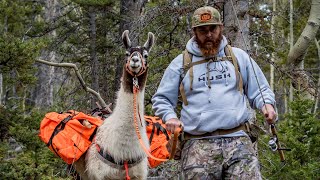 Exploring The Lakes Of The Backcountry, Llama Trip Part 3 Ep 96
