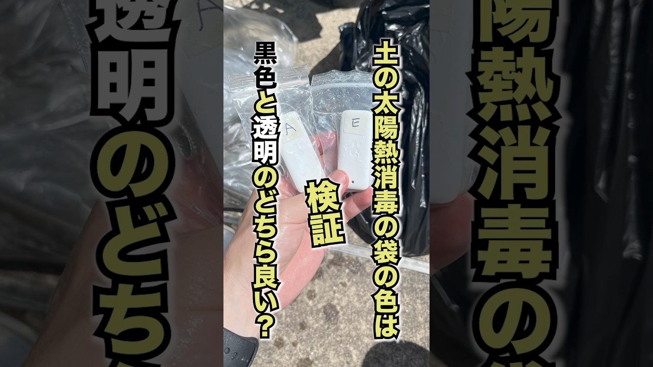 土の太陽熱消毒の袋の色は黒色と透明のどちらが良い？ 